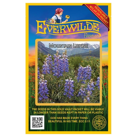 Everwilde Farms - 25 Mountain Lupine Native Wildflower Seeds - Gold Vault Seed Packet
