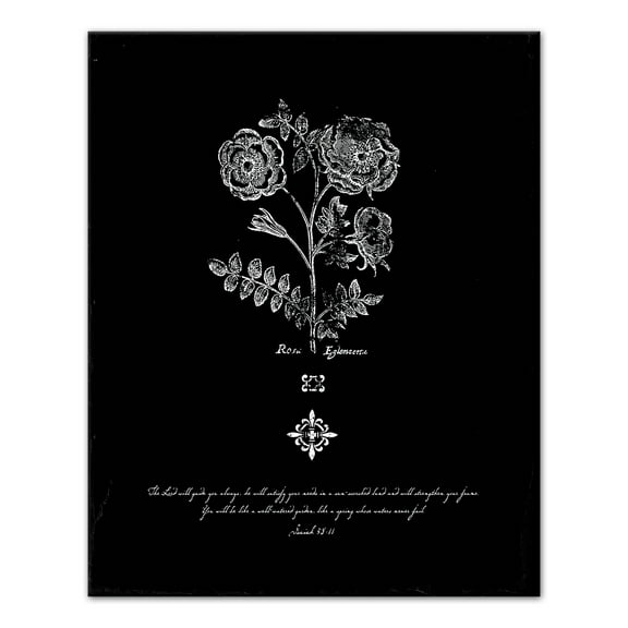 Creative Products Vintage Flower Etching 16x20 Canvas Wall Art