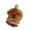 brown five pointed s, variant on Cartoon Styles Plush Ear Warmers for Outdoor Activities Capybaras Shaped Ear Muffs Soft Foldable Animal Themed Earflaps