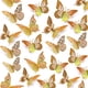 thumbnail image 1 of SAOROPEB Decoración de pared de mariposas 3D, 48 piezas, 4 estilos, 3 tamaños, decoraciones de cumpleaños de mariposas, decoraciones de fiesta de mariposas, decoraciones para pasteles, pegatinas extra, 1 of 4