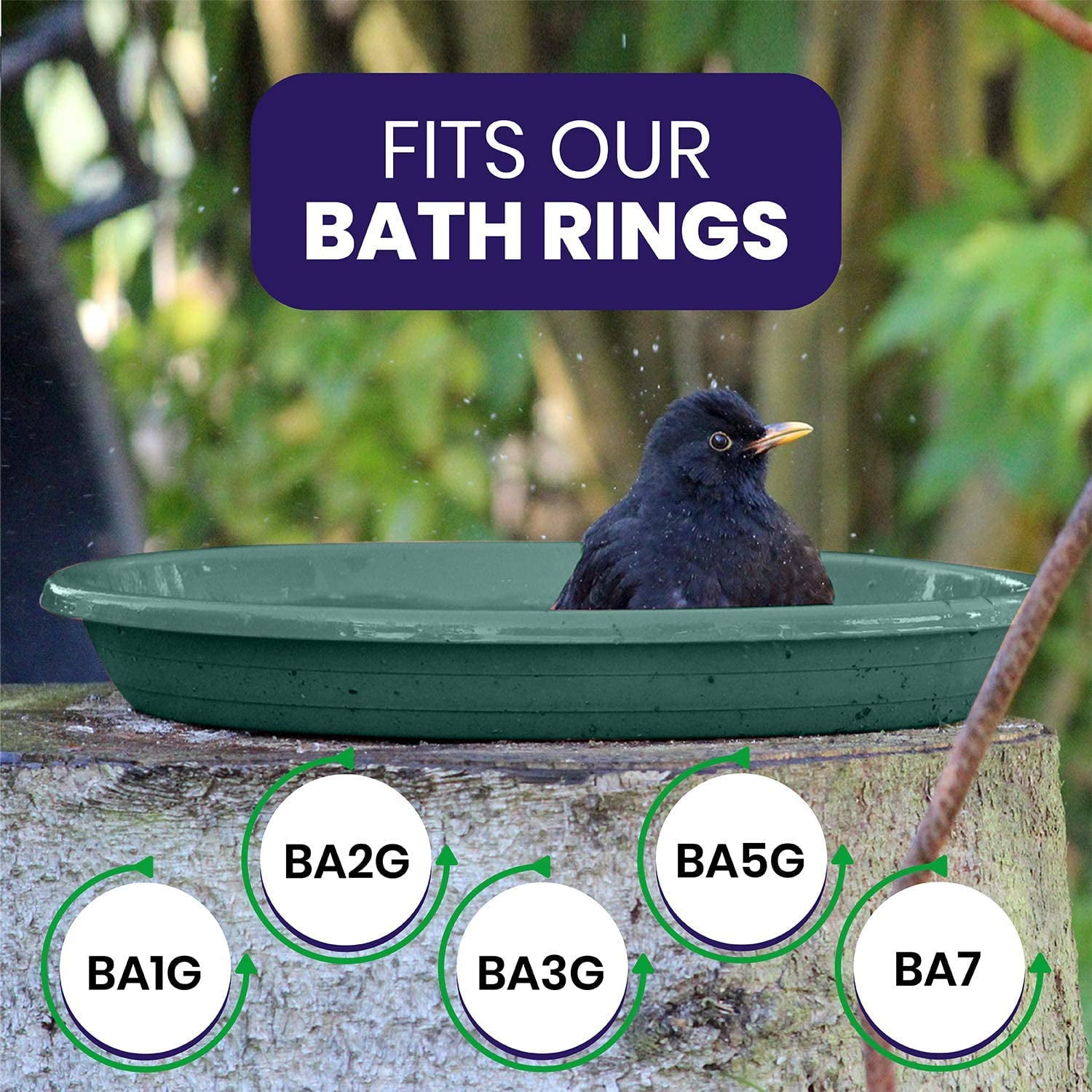 bird bath plastic dish