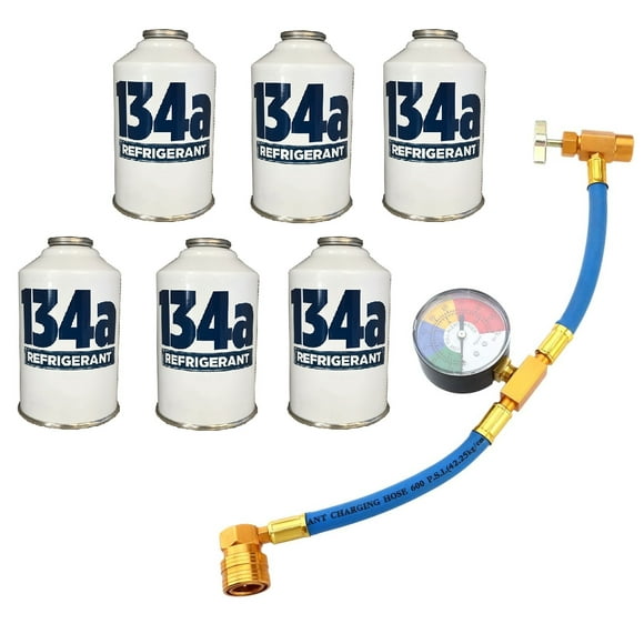6 Cans 6oz 134 Replacement Refrigerant & Charging Hose Kit with Gauge