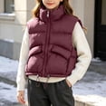 thumbnail image 4 of ROHUUQUE Girls Boys Stand Collar Quilted Puffer Vest Zip Up Sleeveless Adjustable Hem Unisex Jacket for School Casual Wear 3-13 Years Burgundy, 4 of 9