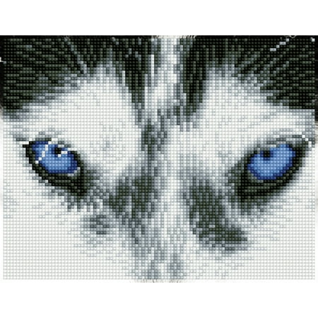 UPC: 4895225917556 | DIAMOND DOTZ® Mystic Husky Diamond Painting Kit