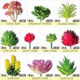thumbnail image 7 of 24 Pcs Succulents Plants Artificial Set Hanging Planters for Indoor Plants Mini Succulents Artificial Plants & Flowers Diy Fake Succulents - by Coolmade, 7 of 7