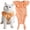 orange, variant on mirlewaiy Cat Recovery Suit for Abdominal Wounds and Skin Diseases, Breathable Surgical Recovery Shirt After Surgery Wear Anti Licking Wounds,E-Collar Alternative for Cats Pet Kitten(RSC01-Navy-s)