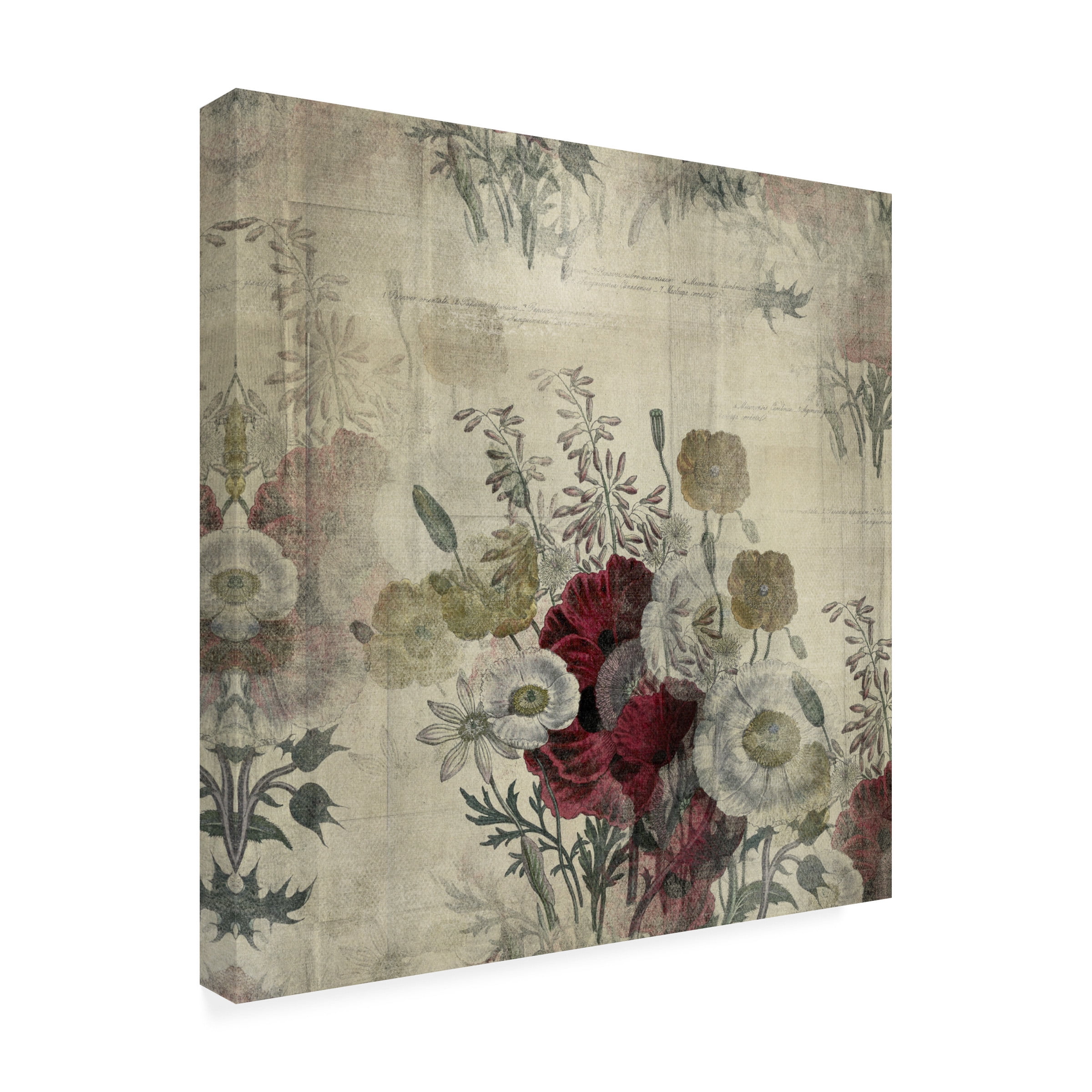 Trademark Fine Art 'Floral Collage White Space' Canvas Art by Marcee Duggar
