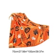 thumbnail image 2 of Tyidzon Halloween Throw Blanket Home Decor Pumpkins Spider Webs Soft Fleece Blanket, 28X39 Inch Throw Blanket for Bedroom, Living Room, Holiday, Kids, Adults Halloween Decorations, 2 of 6