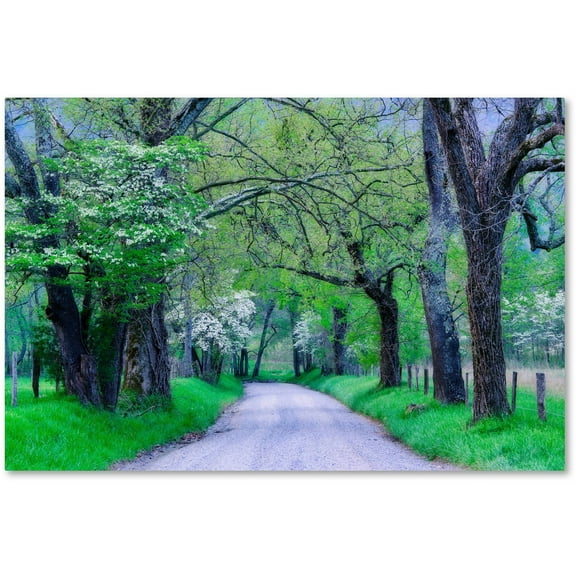 Trademark Fine Art "Cades Cove Lane" Canvas Art by Michael Blanchette Photography