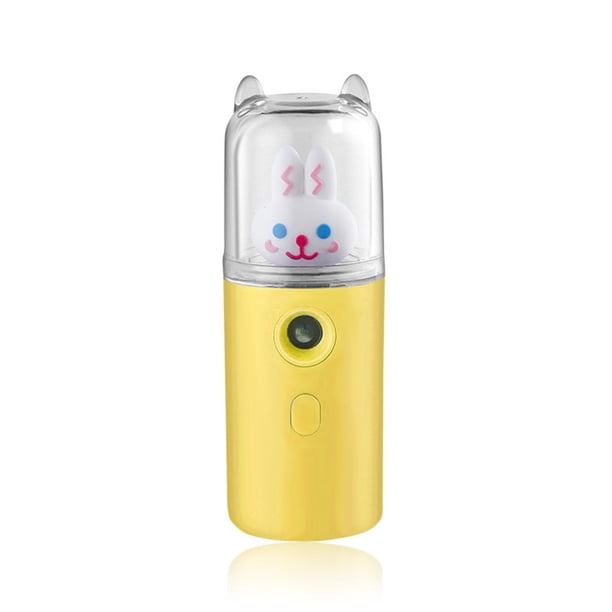 Fabricante de pulverizador USB Portátil 30ML humidificador Fogger Face Steamer Traveling Camping Beauty Instrumento Elenxs HA012086-06B