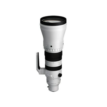 Sigma 300-600mm f/4 DG OS Sports Lens for Sony E-Mount