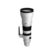 Sigma 300-600mm f/4 DG OS Sports Lens for Sony E-Mount