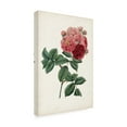 thumbnail image 2 of Vision Studio 'Vintage Rose Clippings III' Canvas Art, 2 of 3