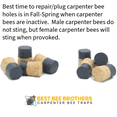 thumbnail image 4 of Best Bee Brothers Hand Dipped Wooden Corks, 8 Pieces, Carpenter Bees, 4 of 8