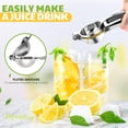 thumbnail image 3 of Lemon Squeezer PUPTILY Stainless Steel Heavy Duty, 3 of 7