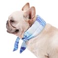 thumbnail image 3 of Bufanda refrescante para mascotas Chill Bandana Collar cómodo para perros y gatos para el verano (S) Likrtyny  Para estrenar, 3 of 9