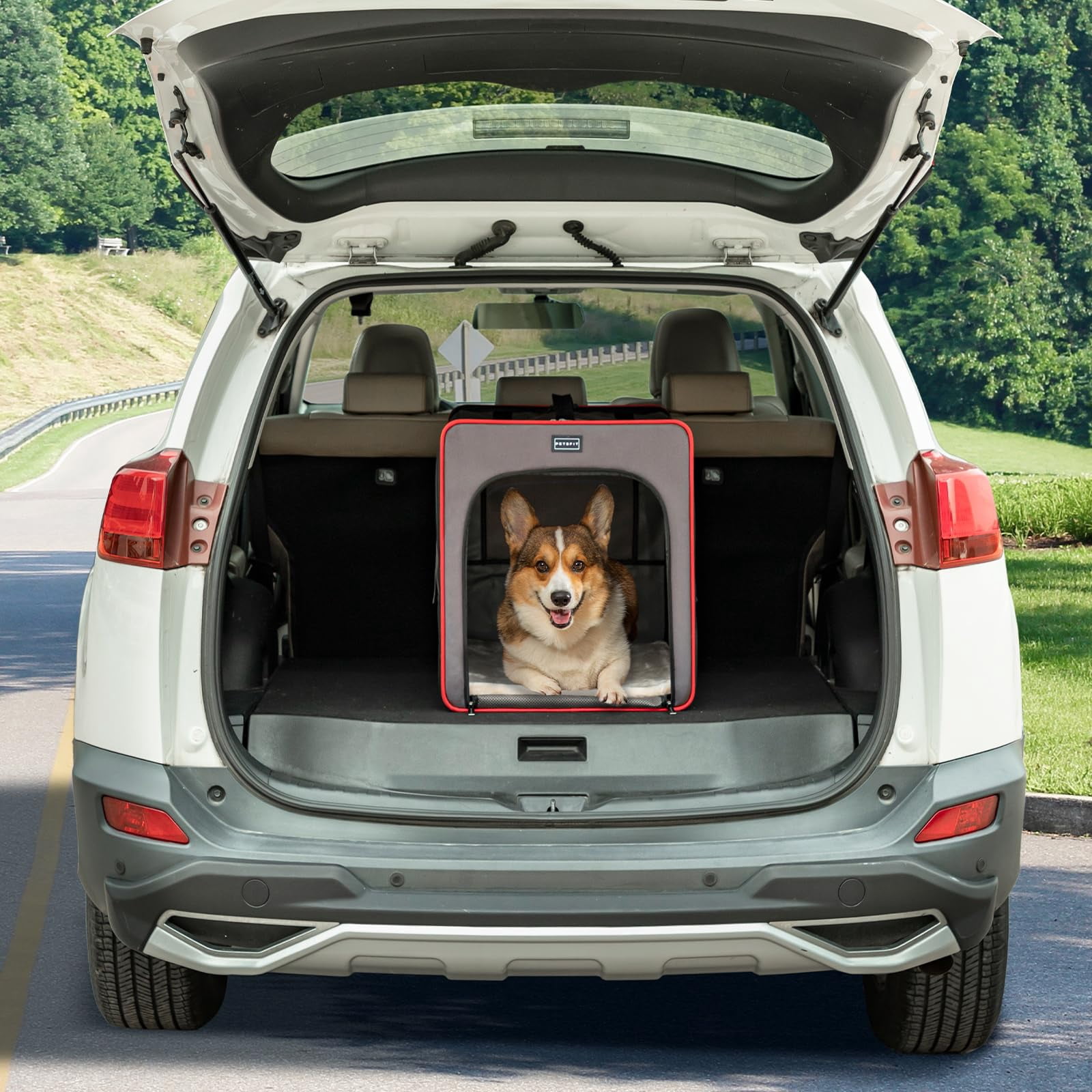 Portable Dog Crate Collapsible Soft Kennel 24 Inch with Thick Mat, Lightweight Foldable Pet Carrier for Travel Camping Car Home, Army Green