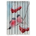 thumbnail image 1 of ABPHQTO Cortina de ducha de poliéster impermeable y ganchos Two Winter Birds Bullfinch Branch 120x180 cm, 1 of 1
