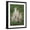 Black Frame, variant on Art.com Cheetah (Acinonyx Jubatus) Family, Ndutu, Ngorongoro Conservation Area, Tanzania Photographic Print, 12" x 16"