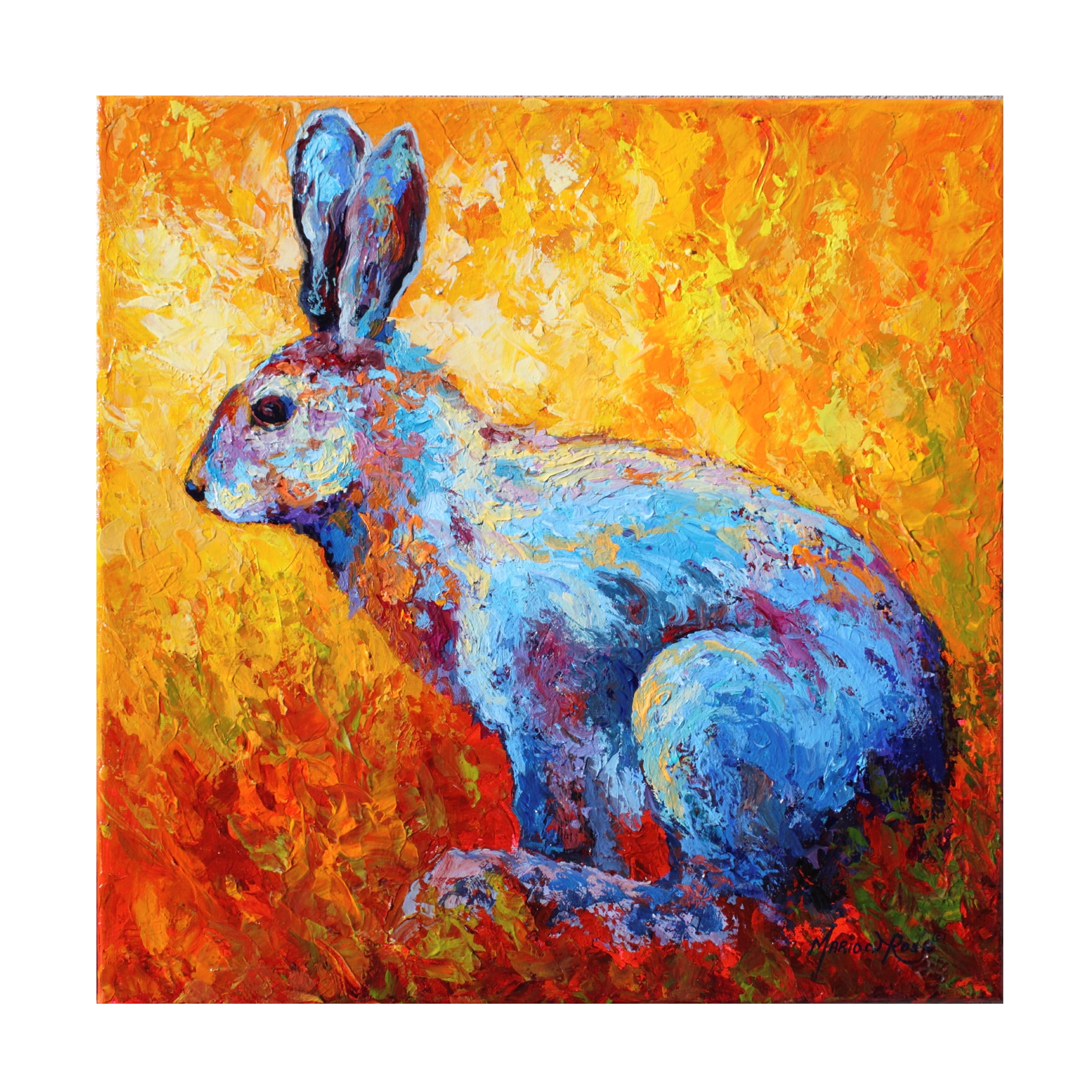 Trademark Fine Art Burro II Canvas Art - 24 x 32 Donkey Painting