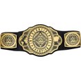 thumbnail image 1 of Cinturón de título del Campeonato Intercontinental de la WWE con estilo auténtico, medallo MATTEL WWE MATTEL, 1 of 2