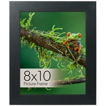 8x10 Black Picture Frame for Tabletop Display with Clear Glass, Easel Back, and Modern Style