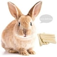 thumbnail image 3 of Rabbit Chew Sticks Healthy Bunny Sweet Bamboo Snacks Rabbit Treats for Hamster, 3 of 10