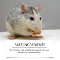 thumbnail image 6 of Herbal Peppermint Rodent Repellent Spray 150ml Liquid Formula for Indoor and Outdoor Use with Mild Effective Ingredients for Safe Application, 6 of 6