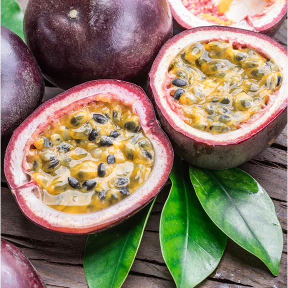 Purple Passionfruit Plant Live for Planting, Passiflora Edulis Plant Passionfruit Vine Starter Plant for The Patio and Garden 4 to 6 Inch Tall - Dormant in Winter