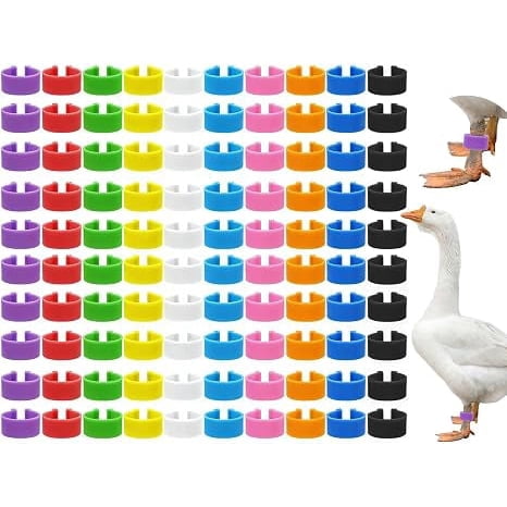 ZULAR 100 Pcs Poultry Leg Bands, Numbered 25mm Extra Large Duck and Goose Leg Bands with 10 Colors, Clip on Chicken Ankle Rings