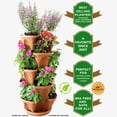 thumbnail image 4 of 5 Tier Stacking Planters - Strawberry, Herb & Vegetable Planter - Vertical Gardening Indoor/Outdoor Stacking Garden Pots - Terracotta, 4 of 5
