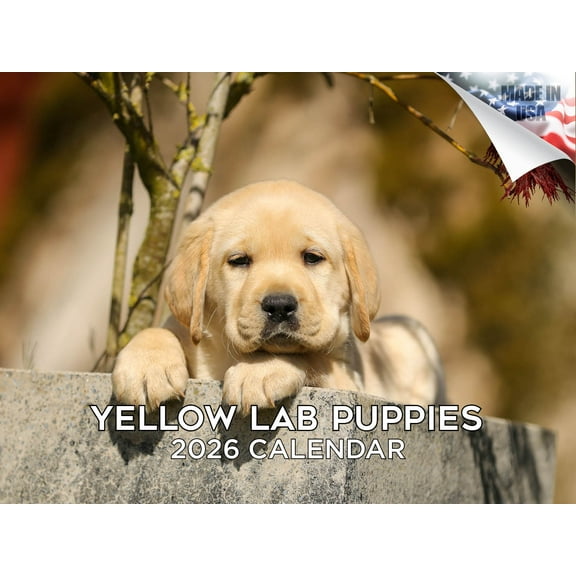 2025 2026 Labrador Pups Yellow Calendar - Dog Breed Monthly Wall Calendar - 12 x 18 Open - Thick No-Bleed Paper - Giftable - Made in USA