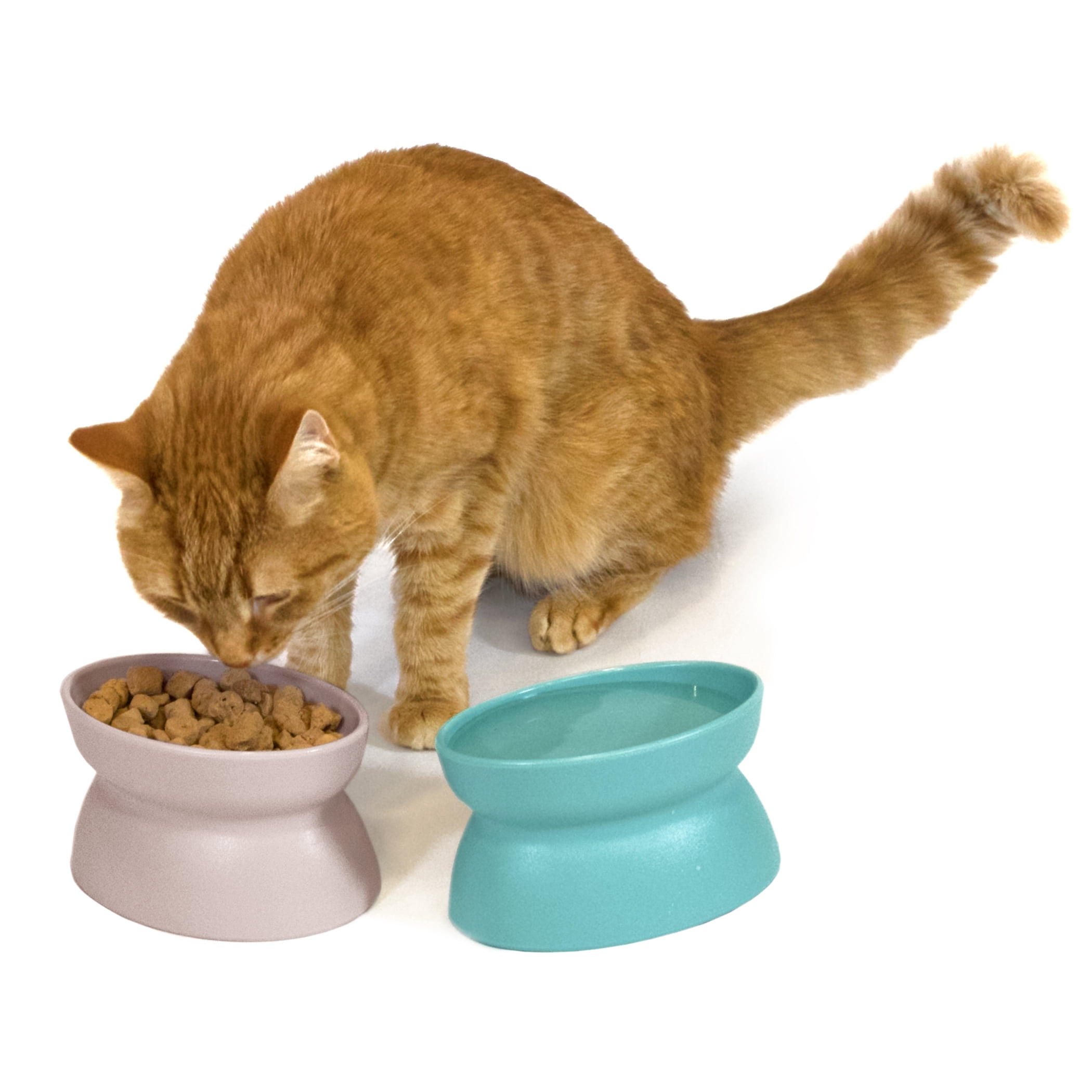 Kitty City Raised Cat Bowls, 2 Pack, Light Pink and Teal
