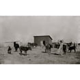 thumbnail image 2 of Black Farmers In Oklahoma Poster Print by George F. Gibbs (24 x 36), 2 of 4
