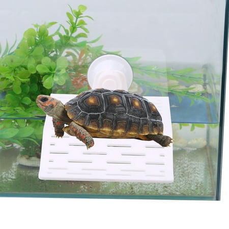 42 Aquarium Design For Turtle Terbaru