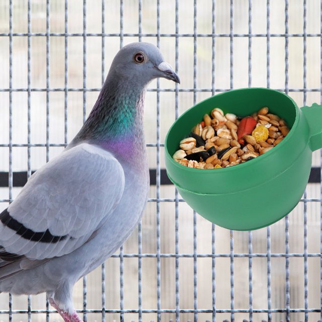 Tazón de Alimentación Para Mascotas ANGGREK Estructura Compacta 5,2 x 3,6 cm
