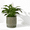 Olive-8 Inch, variant on Embossed Leaves Ceramic Planter 8 In Teal 27-a-q-8