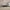 Light Gray, variant on Storage Ottoman Bench, 43.5" End of Bed Ottoman Bench Bedroom Entryway Bench with Storage and Wood Legs, End of Bed Storage Bench for Living Room, Dining Room, Hallway, Beige
