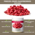 thumbnail image 4 of Nutristore Freeze-Dried Raspberries No. 10 Can, 4 of 13