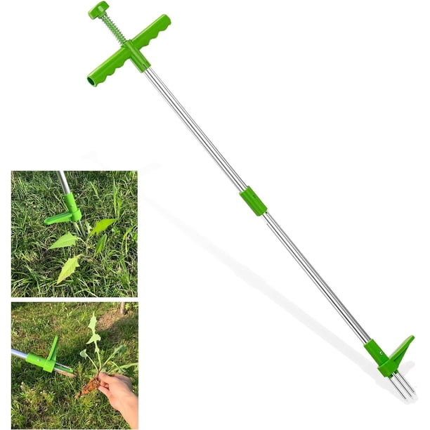 Herramienta de eliminación de raíces de desmalezado de pie con 3 garras de acero inoxidable, poste de aleación de aluminio reforzado de 39 "de largo, extractor manual de malezas