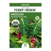 Ferry-Morse Organic 88MG Mesclun Gourmet Greens Mixture Vegetable Plant Seeds Packet