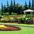 thumbnail image 4 of Paquete de 2, 30 Pulgadas, Adorno de Negra Grande para Patio de Flamencos / Adornos de Césped de Flamencos / Estacas de Jardín de Flamencos D Baoblaze Decoración para el hogar del jardín Flamingo, 4 of 8
