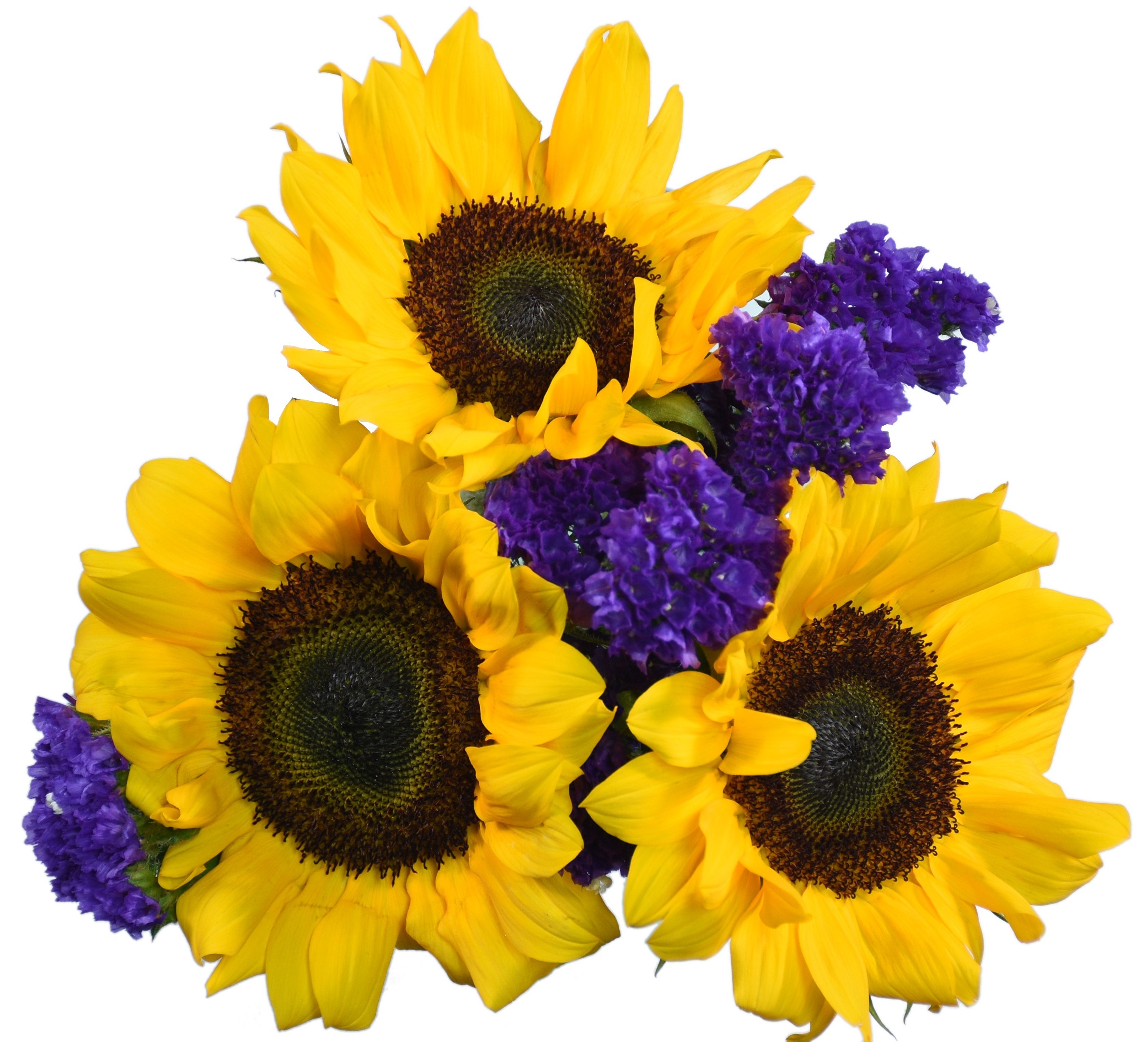 Roses Walmart Com