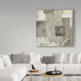 thumbnail image 3 of Trademark Fine Art 'Shades of Gray II' Canvas Art by Lisa Audit, 3 of 3