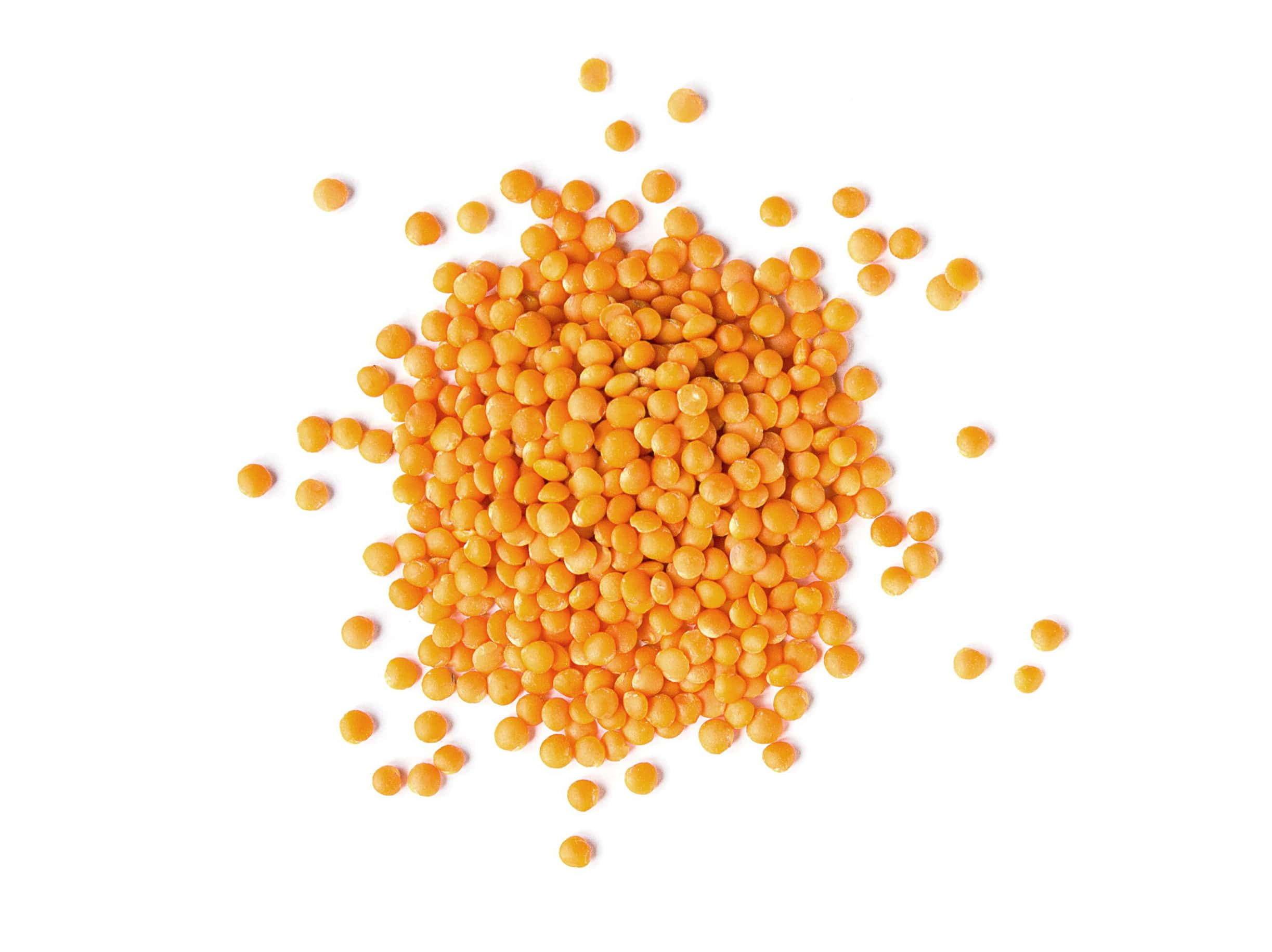 Organic Red Split Lentils, 0.5 Pounds - Non-GMO, Kosher, Raw, Vegan - by Food to Live
