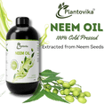 thumbnail image 5 of Plantovika Neem Oil, 100% Pure and Cold Pressed, for Skin, Hair, Body, Plants, and Dogs (16, Ounces), 5 of 5