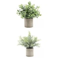 thumbnail image 1 of 2 piezas suculentas mini decoración del hogar interior al aire libre + Zulema  plantas en macetas falsas, 1 of 8