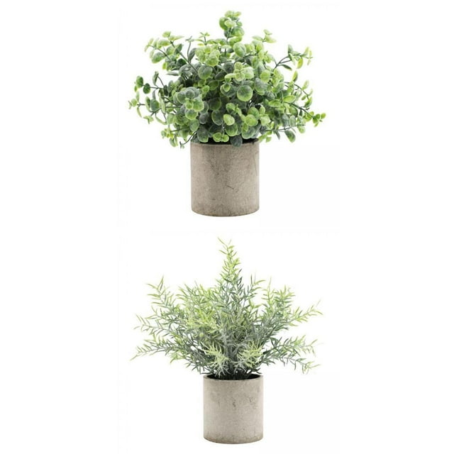 2 piezas suculentas mini decoración del hogar interior al aire libre + Zulema plantas en macetas falsas