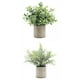thumbnail image 1 of 2 piezas de plantas artificiales en maceta para interiores, bodas Romero+Desmodio, 1 of 9