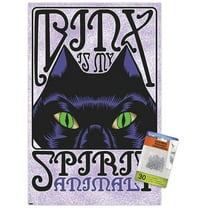 Disney Hocus Pocus - Binx Wall Poster with Push Pins, 14.725" x 22.375"